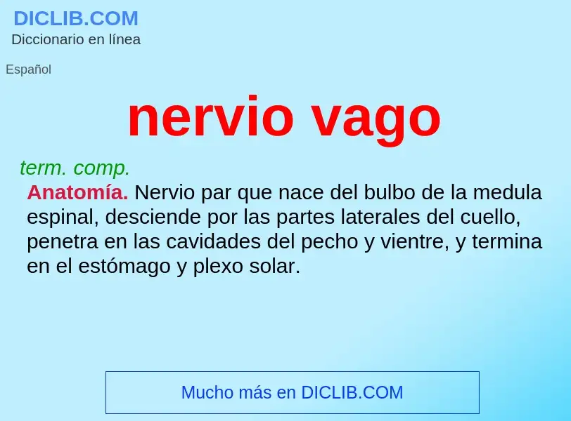 ¿Qué es nervio vago? - significado y definición