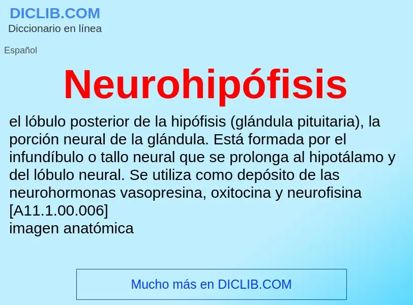 ¿Qué es Neurohipófisis? - significado y definición