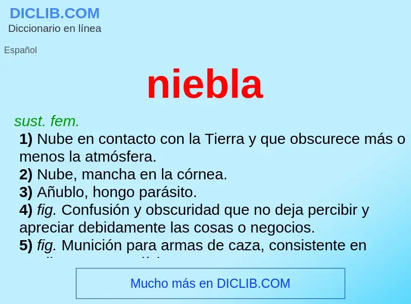 What is niebla - definition