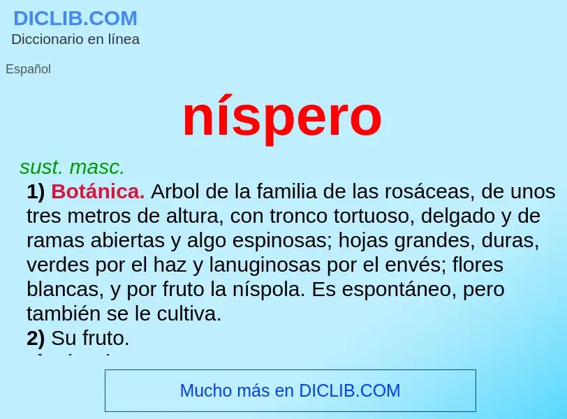 What is níspero - meaning and definition