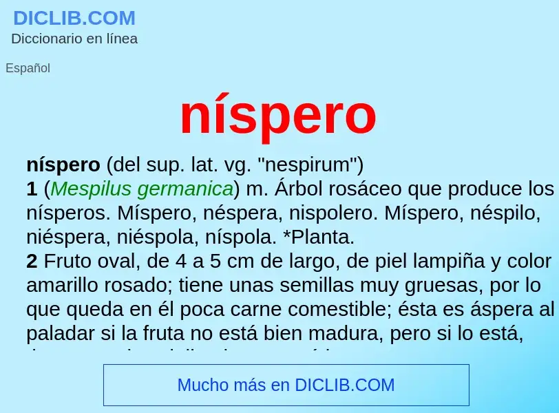 ¿Qué es níspero? - significado y definición