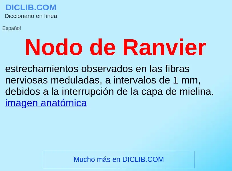 ¿Qué es Nodo de Ranvier? - significado y definición