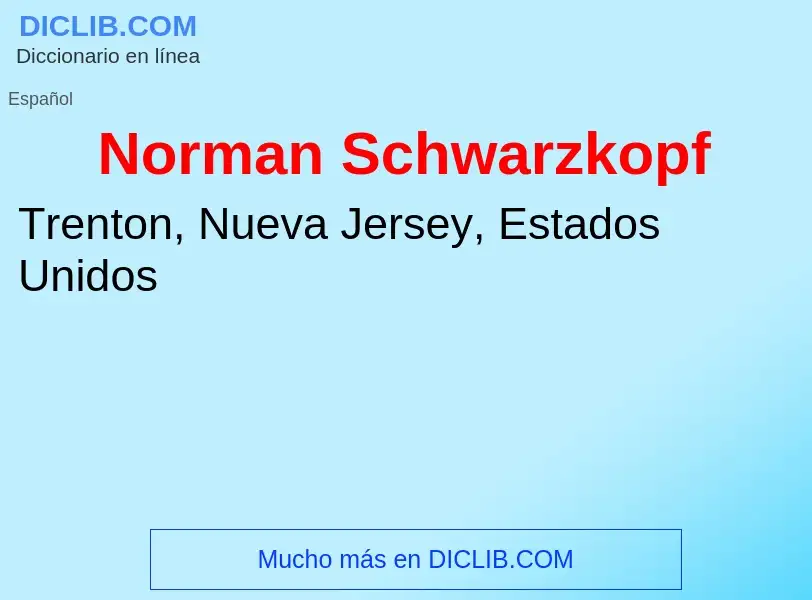 Wat is Norman Schwarzkopf - definition