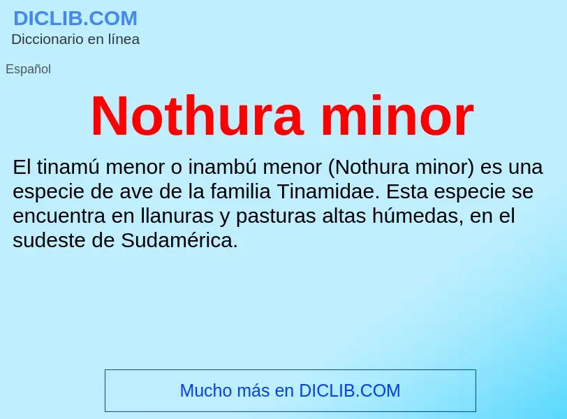 O que é Nothura minor - definição, significado, conceito