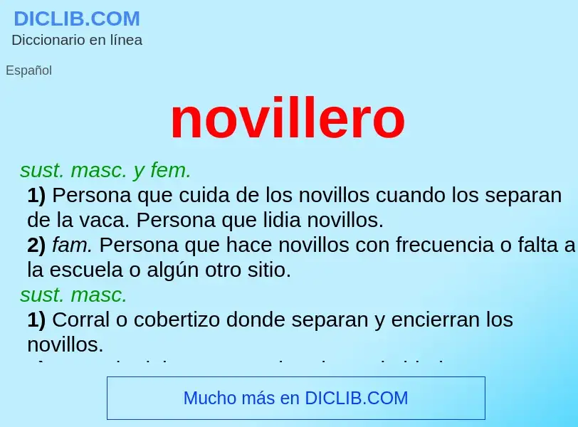 Wat is novillero - definition