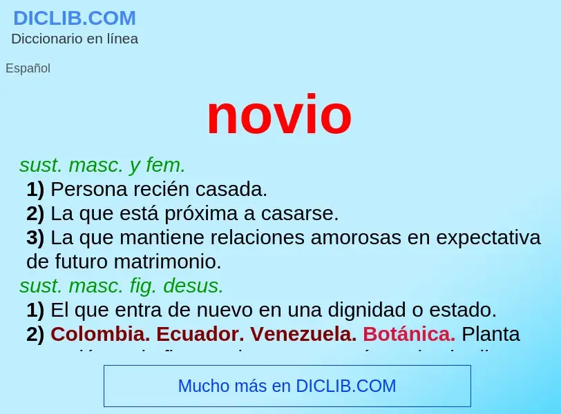 ¿Qué es novio? - significado y definición