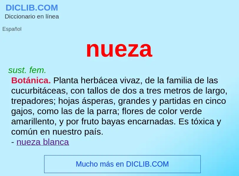 What is nueza - meaning and definition