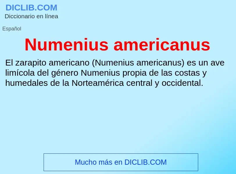 O que é Numenius americanus - definição, significado, conceito