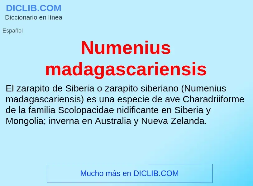 Что такое Numenius madagascariensis - определение