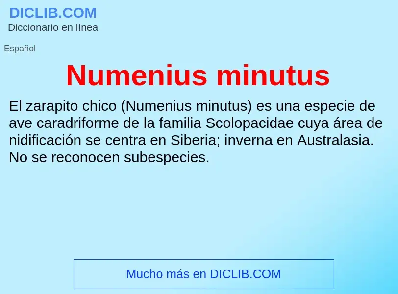 O que é Numenius minutus - definição, significado, conceito