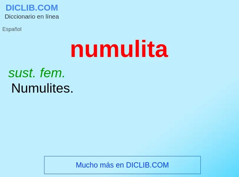 What is numulita - meaning and definition