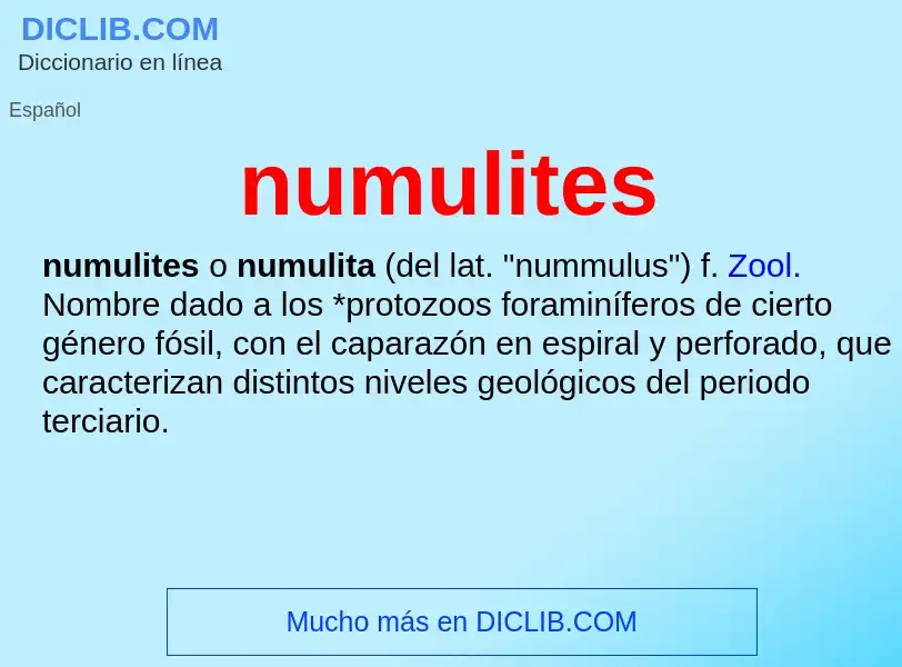 What is numulites - meaning and definition