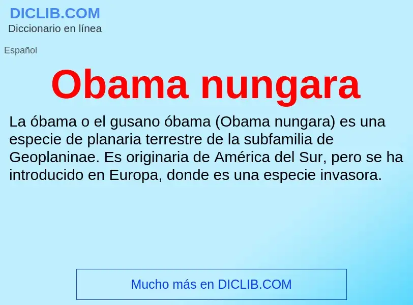 ¿Qué es Obama nungara? - significado y definición