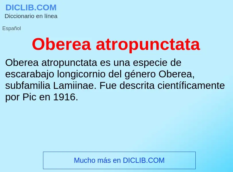 ¿Qué es Oberea atropunctata? - significado y definición