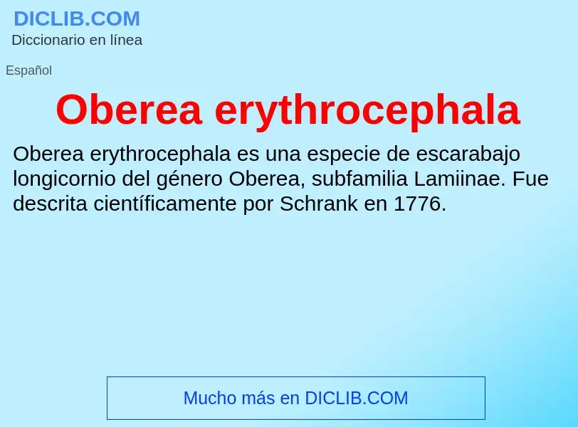 ¿Qué es Oberea erythrocephala? - significado y definición