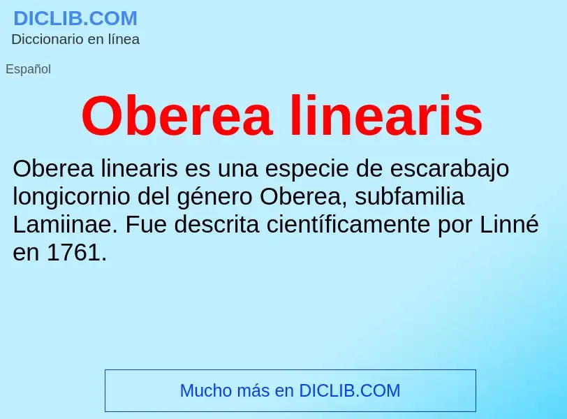 ¿Qué es Oberea linearis? - significado y definición