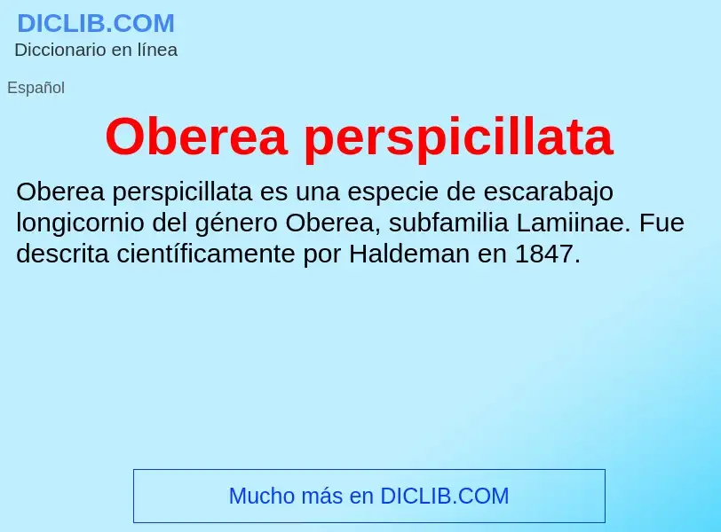 ¿Qué es Oberea perspicillata? - significado y definición