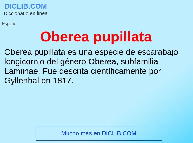 ¿Qué es Oberea pupillata? - significado y definición