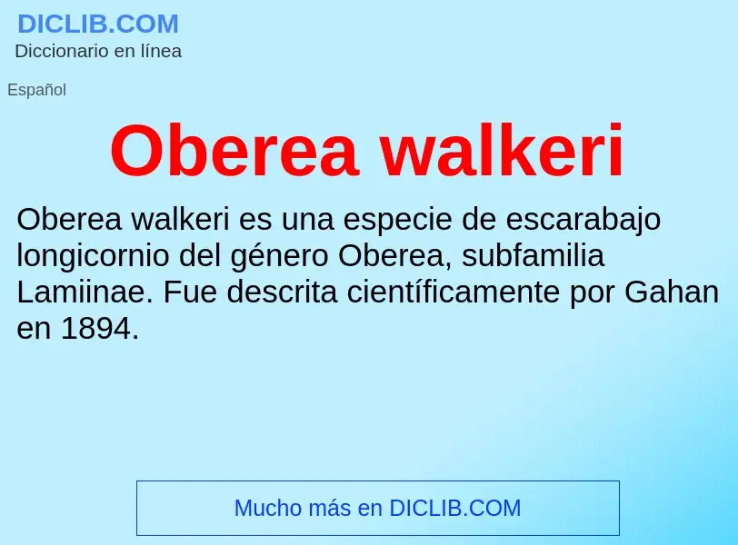 ¿Qué es Oberea walkeri? - significado y definición