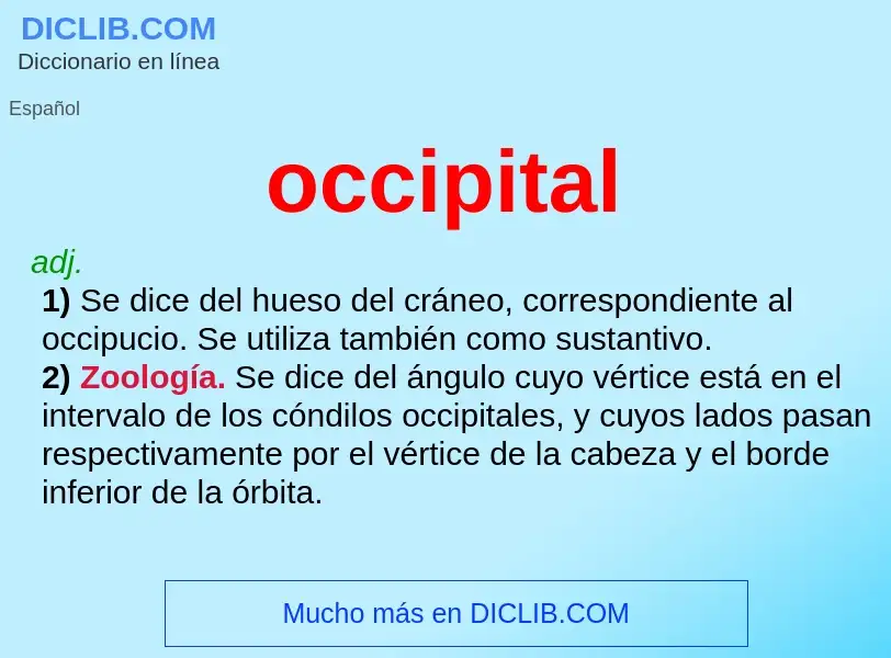 ¿Qué es occipital? - significado y definición