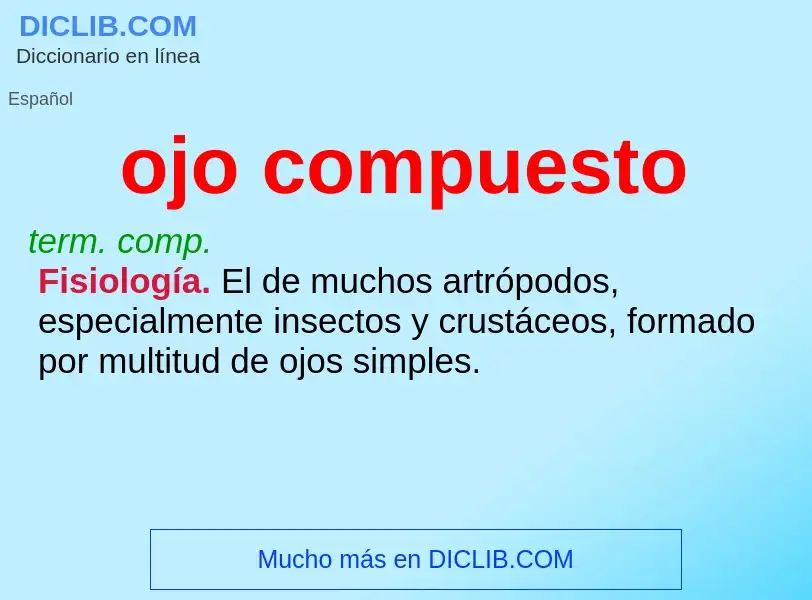 What is ojo compuesto - meaning and definition