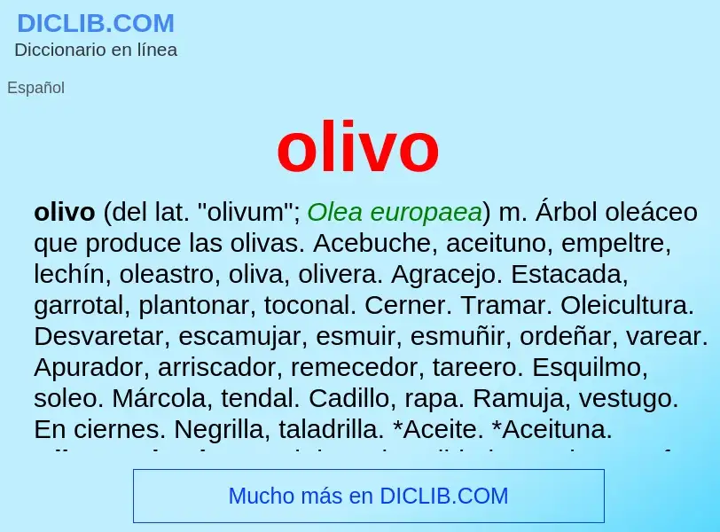 Qu'est-ce que olivo - définition