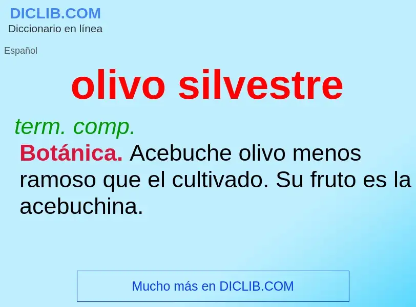 Qu'est-ce que olivo silvestre - définition