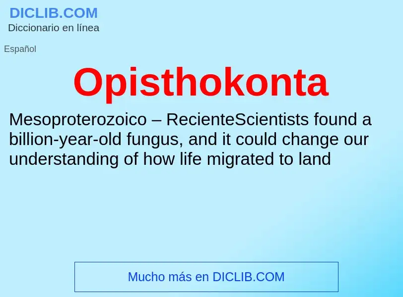 ¿Qué es Opisthokonta? - significado y definición