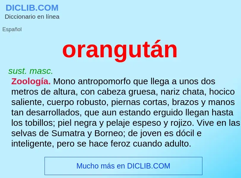 ¿Qué es orangután? - significado y definición