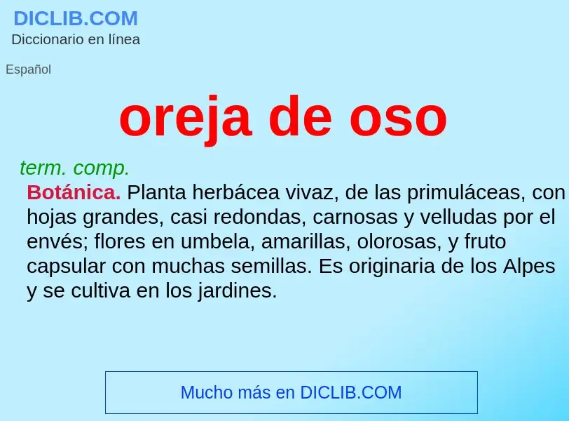 Was ist oreja de oso - Definition