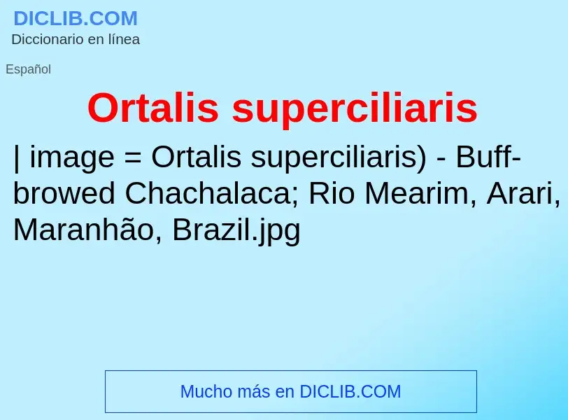 Что такое Ortalis superciliaris - определение