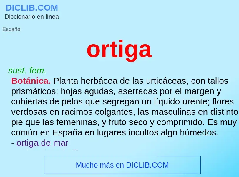 O que é ortiga - definição, significado, conceito