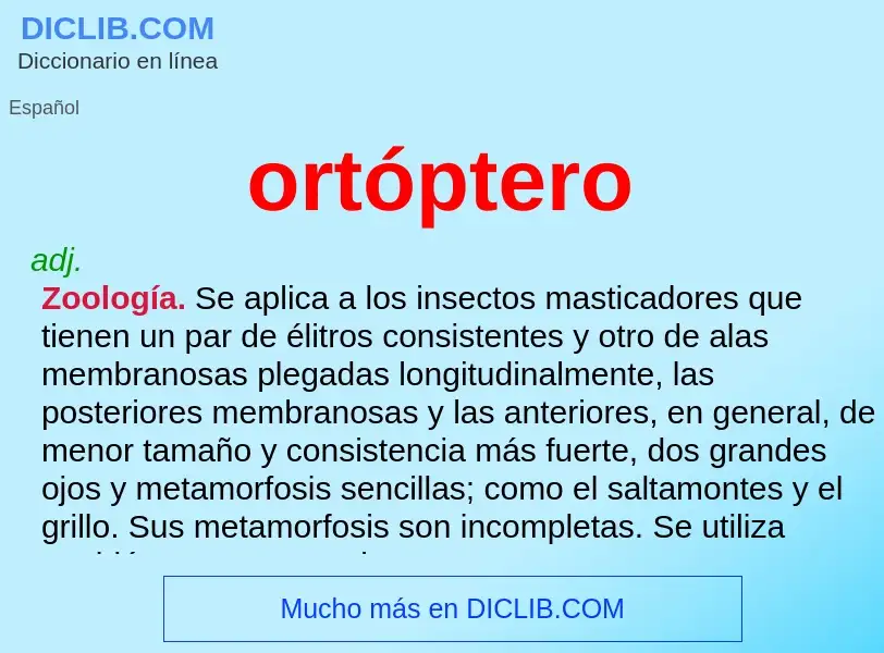 Was ist ortóptero - Definition