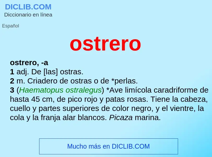 ¿Qué es ostrero? - significado y definición