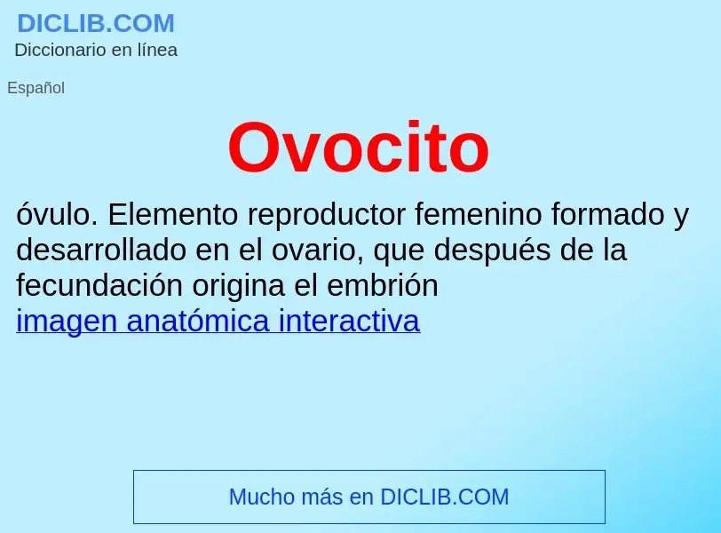 ¿Qué es Ovocito? - significado y definición