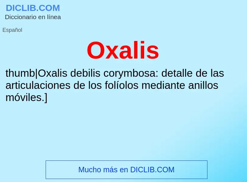 Was ist Oxalis - Definition