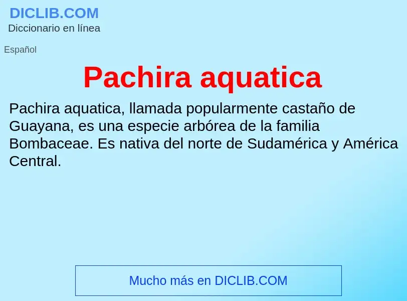 ¿Qué es Pachira aquatica? - significado y definición