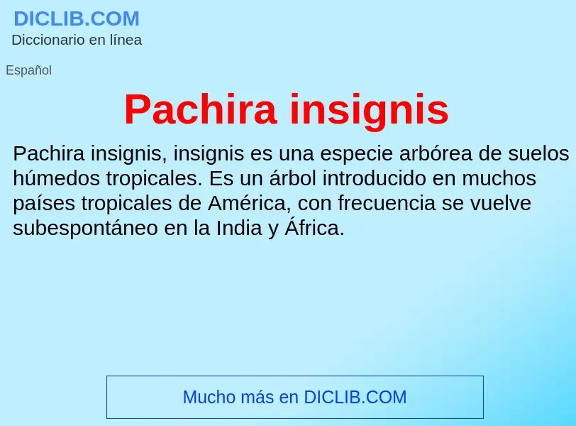 ¿Qué es Pachira insignis? - significado y definición