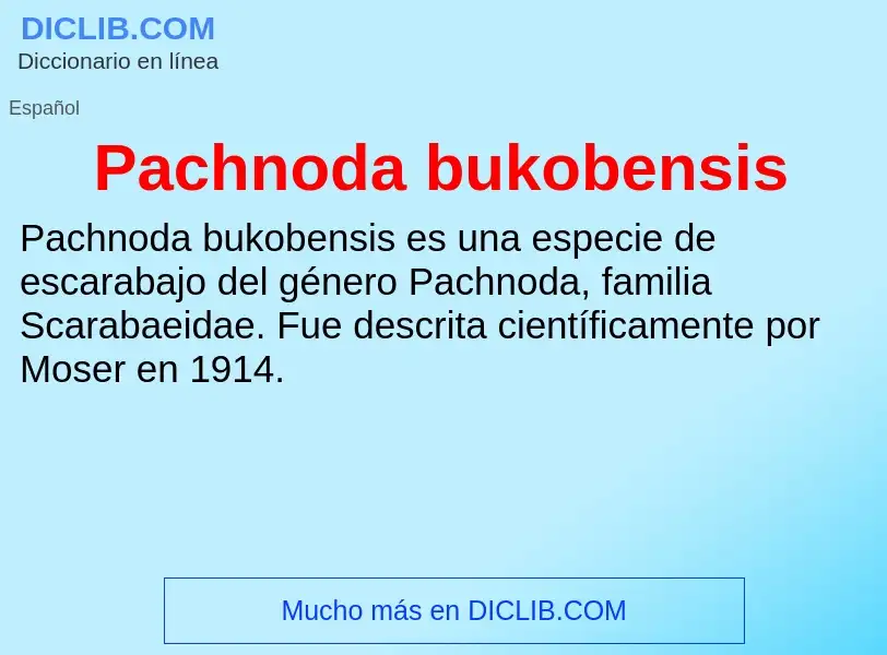 ¿Qué es Pachnoda bukobensis? - significado y definición