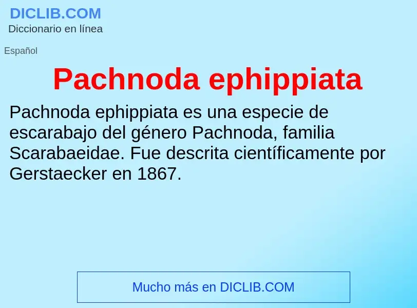 ¿Qué es Pachnoda ephippiata? - significado y definición