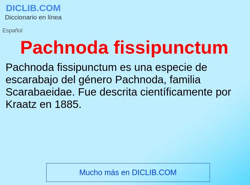 ¿Qué es Pachnoda fissipunctum? - significado y definición