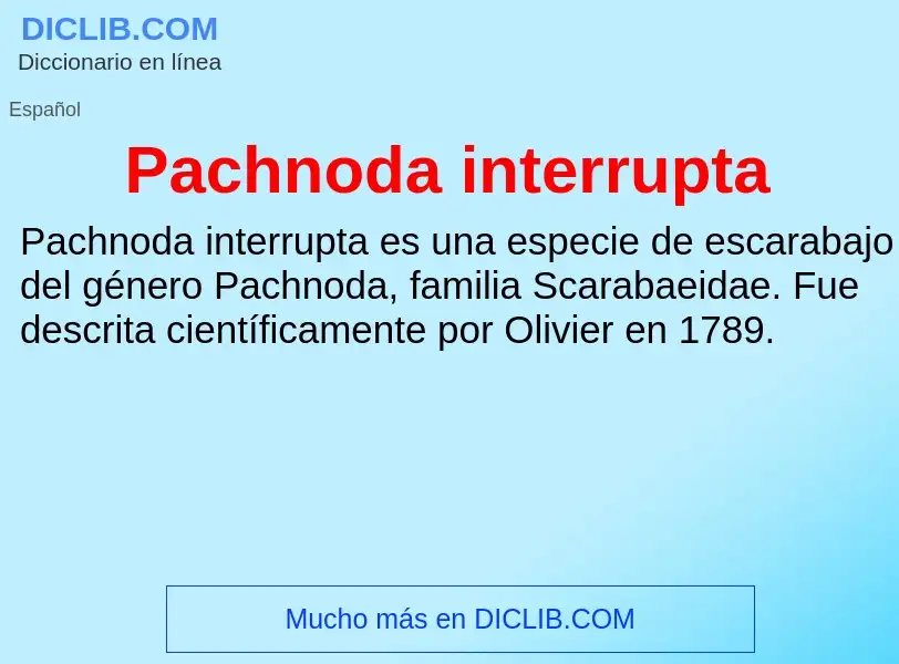 ¿Qué es Pachnoda interrupta? - significado y definición