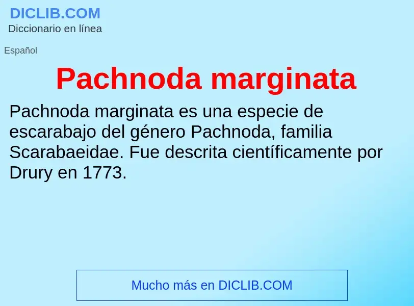 ¿Qué es Pachnoda marginata? - significado y definición