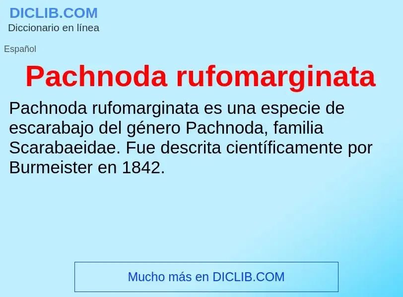 ¿Qué es Pachnoda rufomarginata? - significado y definición