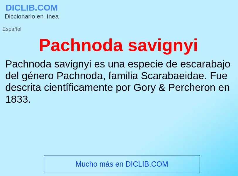 ¿Qué es Pachnoda savignyi? - significado y definición