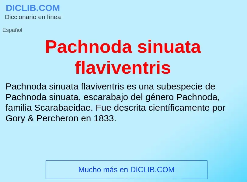 ¿Qué es Pachnoda sinuata flaviventris? - significado y definición