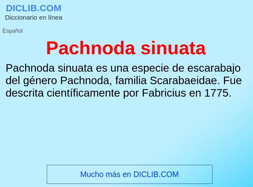 ¿Qué es Pachnoda sinuata? - significado y definición