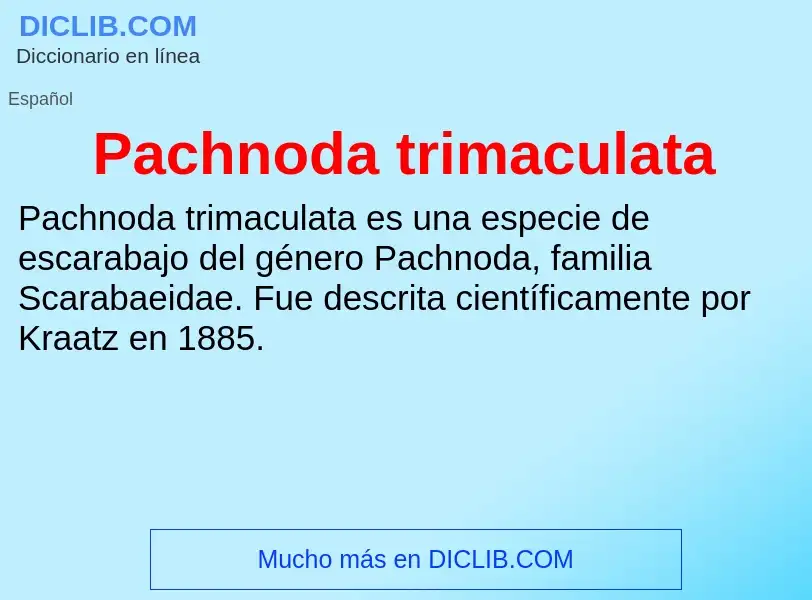 ¿Qué es Pachnoda trimaculata? - significado y definición