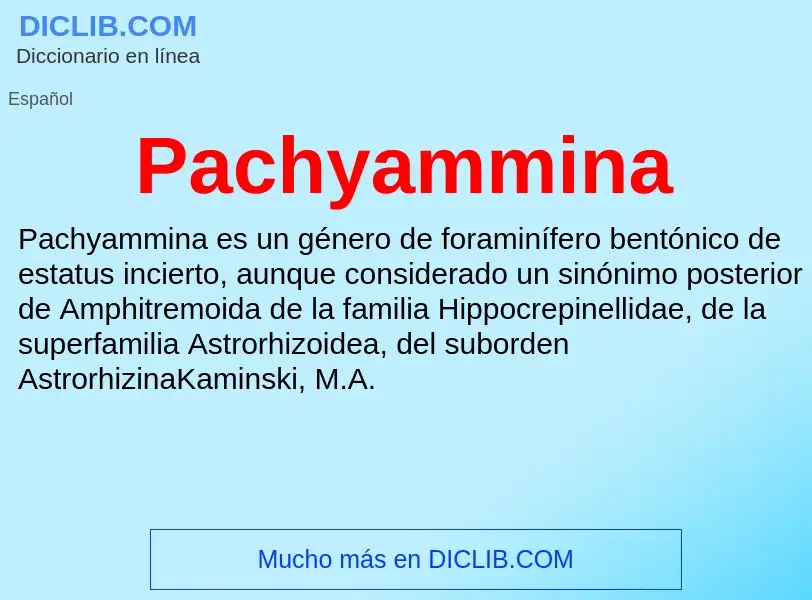 ¿Qué es Pachyammina? - significado y definición