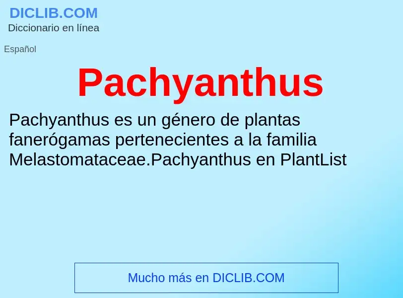 ¿Qué es Pachyanthus? - significado y definición